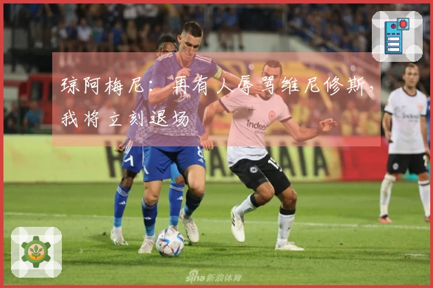 琼阿梅尼:再有人辱骂维尼修斯,我将立刻退场